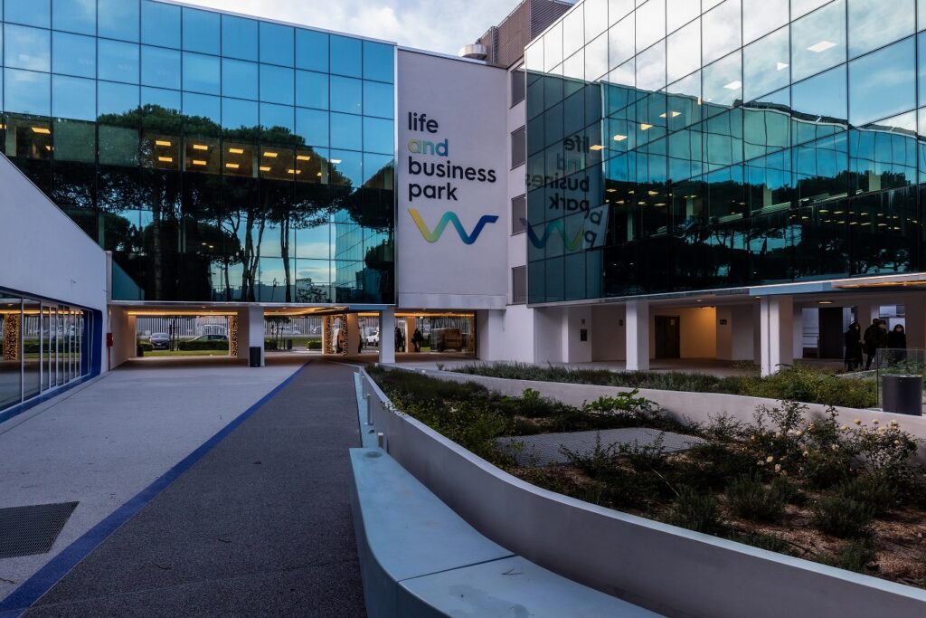 Ford Italia... Motori